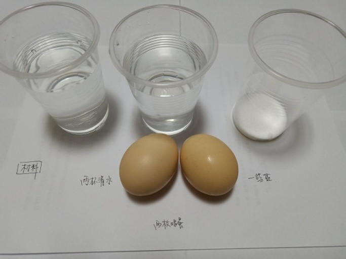 鸡蛋在水中上浮实验