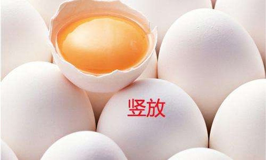 一个新鲜鸡蛋被纵向切开,清晰展示蛋壳、壳膜、蛋白(清亮透明层)、系带、蛋黄膜、深黄色蛋黄及中心胚盘结构,背景为白色厨房台面,光线柔和自然 鸡蛋结构剖面图