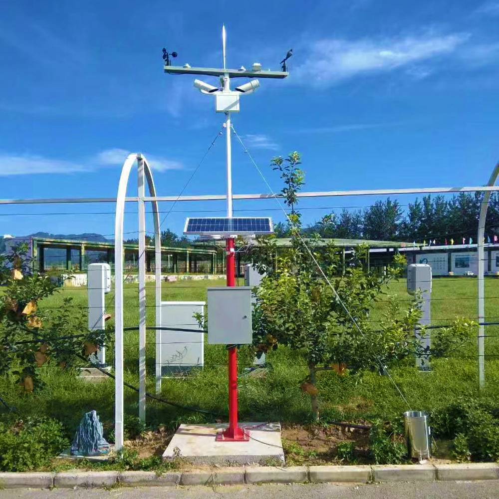 现代化石榴种植园中的科技应用