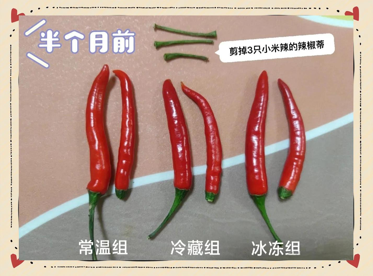 泡椒与小米辣储藏方式对比图