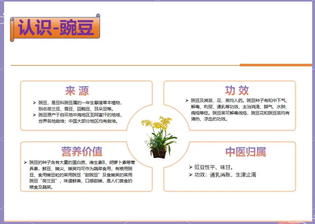 中医体质辨识示意图：中心为‘豌豆（甘、平）’圆形图标，向外辐射六条分支线，分别连接‘阳虚’‘阴虚’‘气虚’‘痰湿’‘湿热’‘平和’六类体质标签，每条线旁标注简明食用提示（如‘阳虚：宜配姜、枣’）