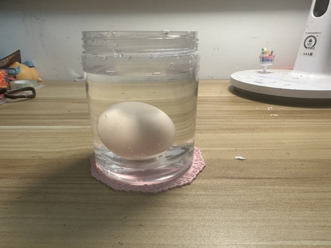 鸡蛋浮水测试实验图