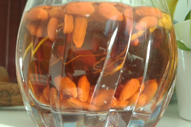 分心木泡水示意图