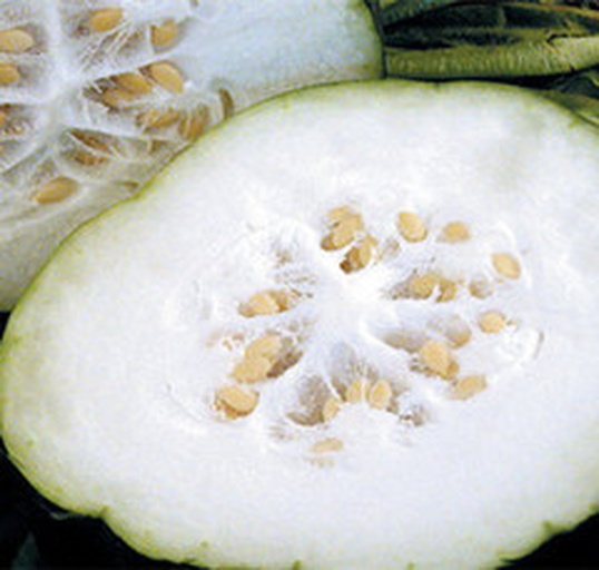 展示一个发酸冬瓜的切面,表面有轻微变色和酸味散发 冬瓜发酸现象展示图