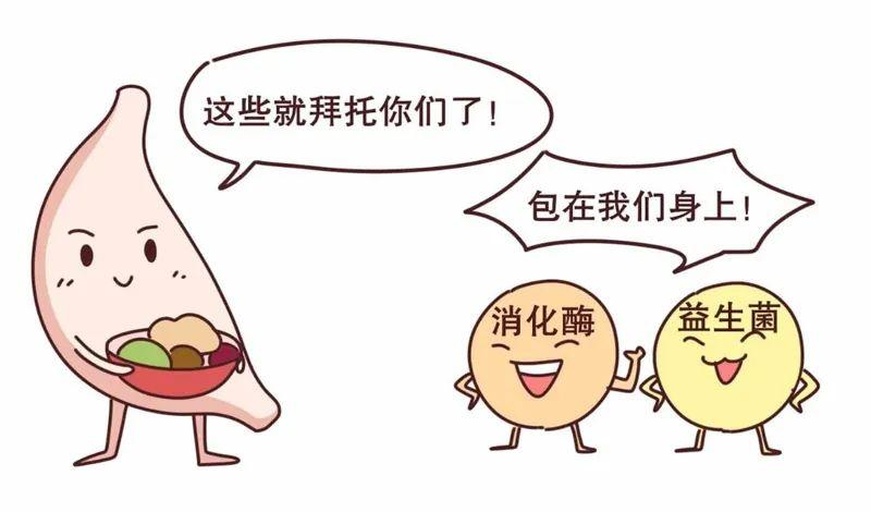 人体消化系统示意图