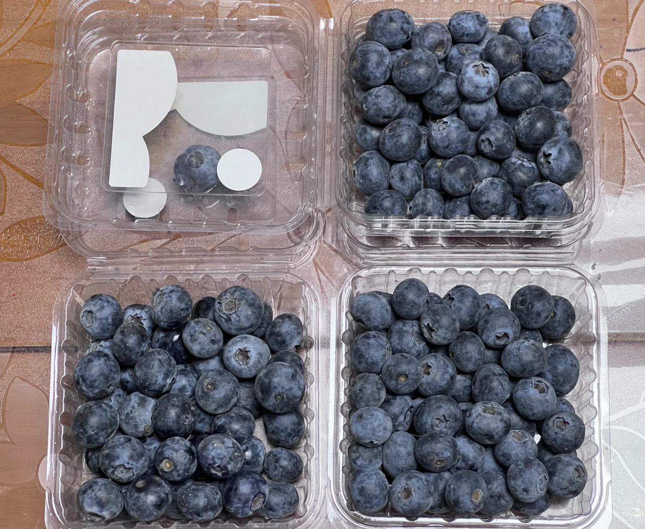 超市货架上不同包装蓝莓对比图