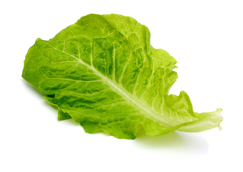 两张并列的蔬菜特写图片,左侧为油麦菜,叶片细长、颜色深绿,表面光滑;右侧为生菜,叶片宽大圆润,呈浅绿色,边缘波浪状。背景为厨房木质台面,自然光线照射,突出两种蔬菜的新鲜质感 油麦菜与生菜对比图