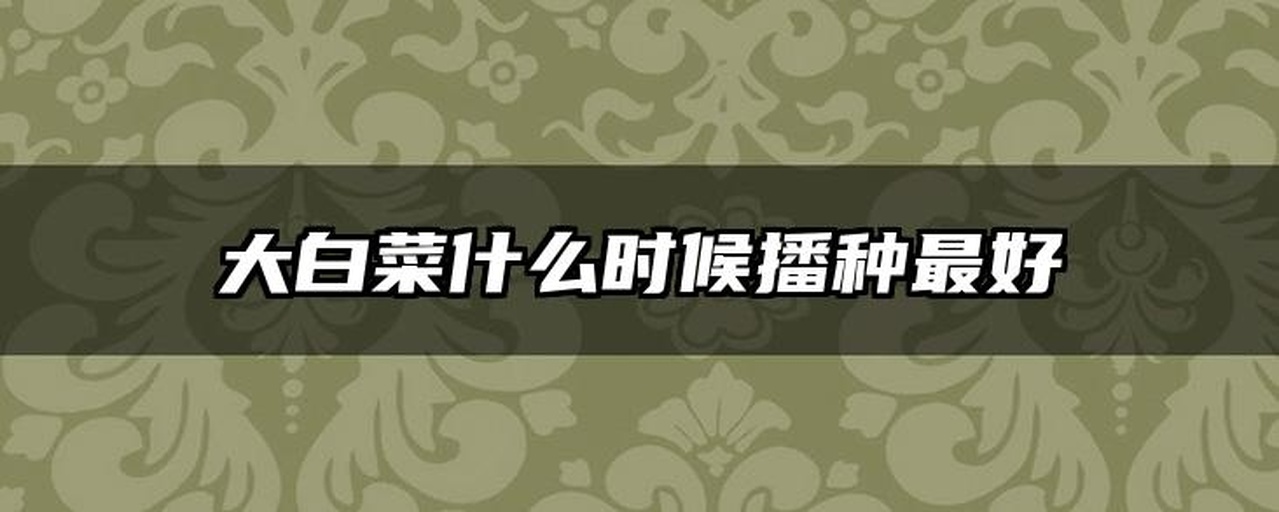 不同地区白菜施肥模式对比图