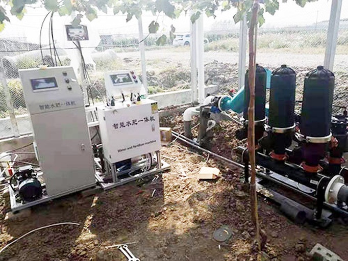 现代化红心脐橙果园中的水肥一体化控制系统:中央控制柜连接多条滴灌管道,分布于每行果树根部;土壤传感器实时监测湿度与EC值;手机APP界面显示灌溉计划与执行状态 红心脐橙水肥一体化管理系统示意图