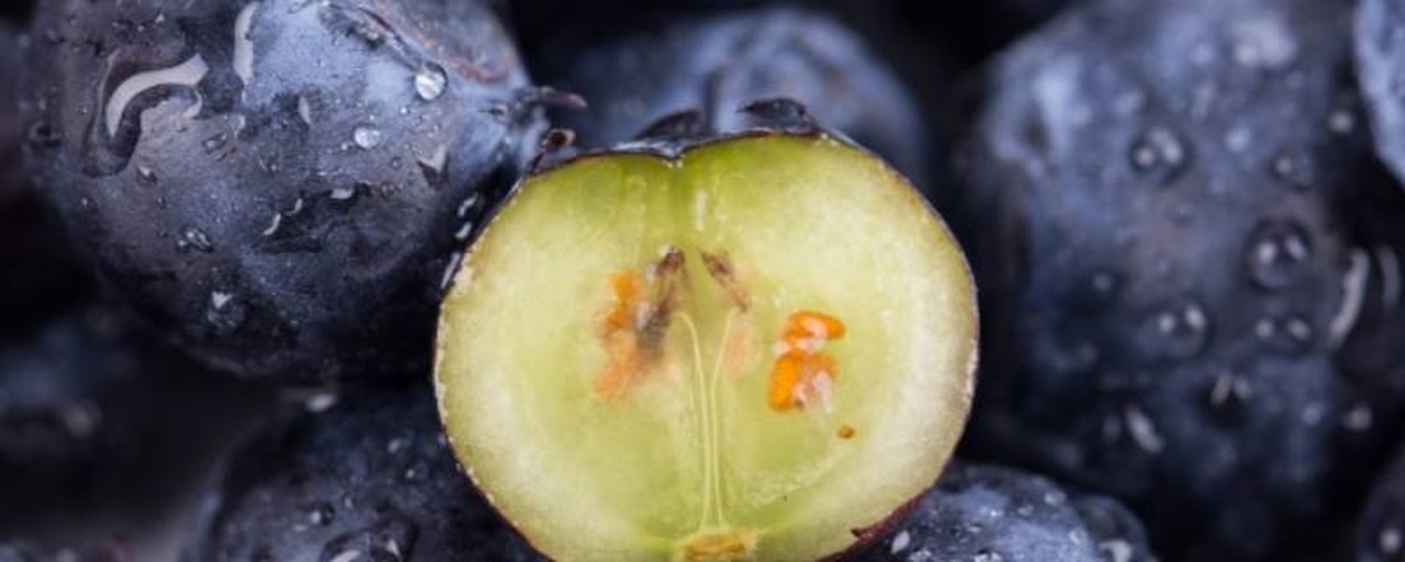 蓝莓横切面特写