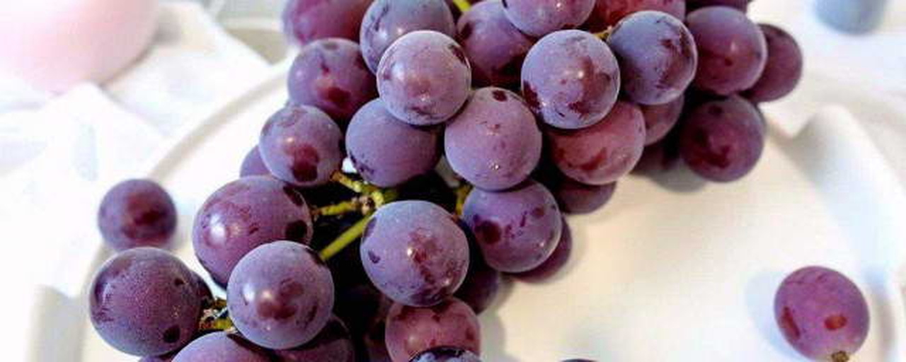 两种葡萄对比图