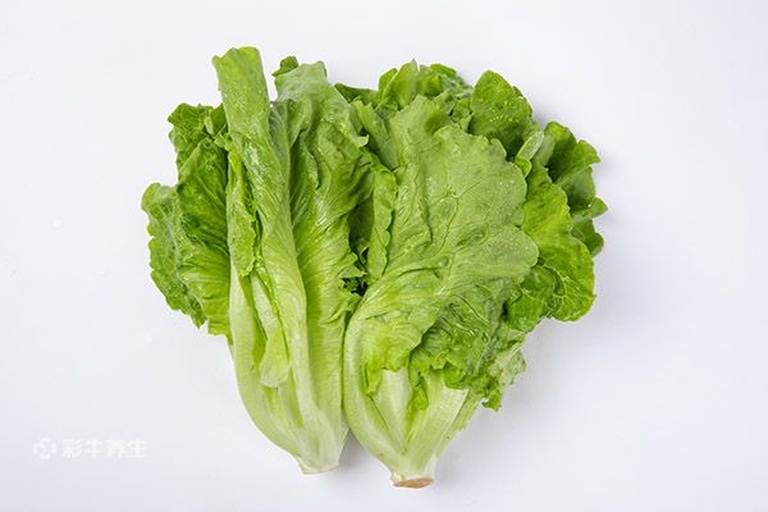 两张并列摆放的新鲜蔬菜,左侧为深绿色锯齿状叶片的芥菜,右侧为浅绿色光滑波浪边的生菜,背景为白色厨房台面,标签分别标注‘芥菜’和‘生菜’,突出视觉对比 对比图:芥菜与生菜并列摆放