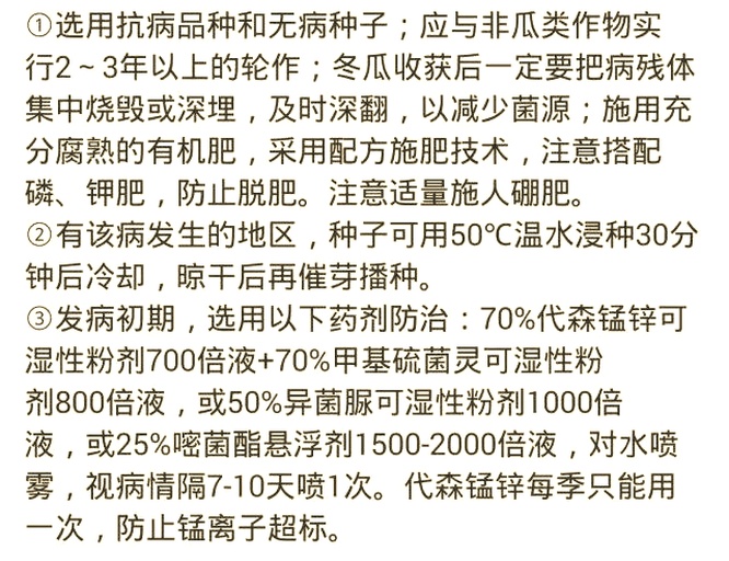 异丙甲草胺在冬瓜田喷雾作业实景