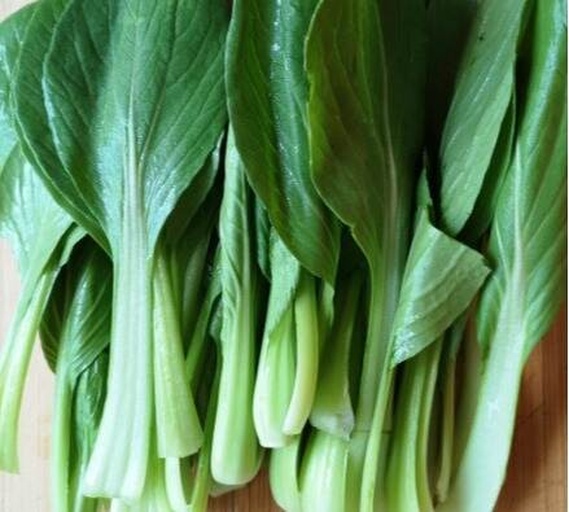 一束新鲜油麦菜平铺在木质案板上,根部整齐,叶片挺拔翠绿,茎部洁白修长,表面无斑点或黄化,阳光从侧面照射,呈现出自然光泽 新鲜采摘的油麦菜特写