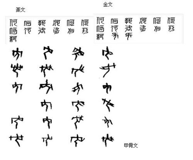 左半为泛黄纸质古籍扫描页,展示明代《罗经顶门针》木刻版‘分金诀’章节,可见手写朱批‘三七为用,气贯华盖;二八为权,力转枢机’;右半为高清摄影的现代三合罗盘局部特写,聚焦子山区域,清晰呈现五格分金线及旁注‘三七线(丙子)’‘二八线(壬子)’字样;两图中间以金色弧线连接,标注‘数理传承:1562–2024’ 清代《罗经顶门针》古籍书影与现代罗盘分金刻度对比图
