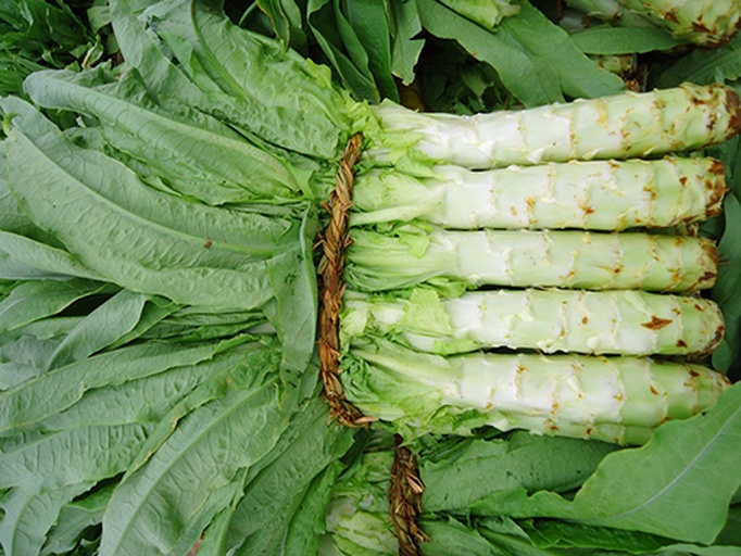 高清特写:白莴苣茎部纵向去筋操作示范,展示筋膜位置、挑起角度及工具使用细节,突出‘轻挑慢撕’手法 莴苣去筋特写:新鲜白莴苣茎被纵向剖开,刀尖正精准挑起半透明韧性强筋,手部动作清晰,背景为木质砧板