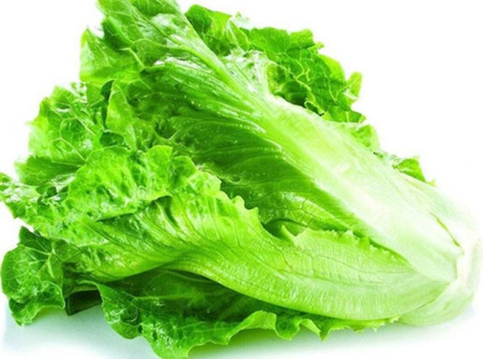 一棵完整的罗马生菜,呈长条状,深绿色外叶包裹着浅绿内芯,叶片挺拔有光泽,背景为自然光下的厨房台面,突出其新鲜度和用于沙拉的适用性 罗马生菜特写