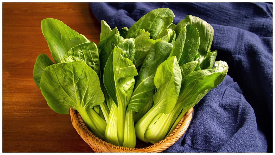 一张高清对比图,展示油菜、小白菜、小叶芥菜和上海青并列摆放,每种蔬菜标注名称,背景为白色厨房台面,光线自然明亮 油菜与几种相似蔬菜对比图