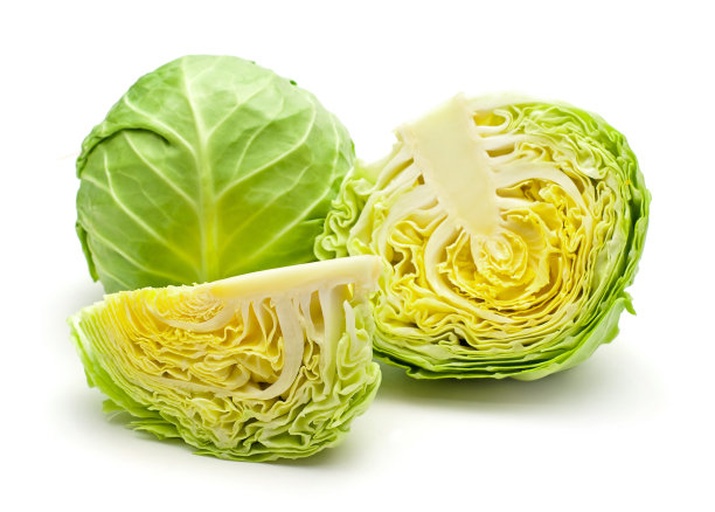 球生菜剖面图