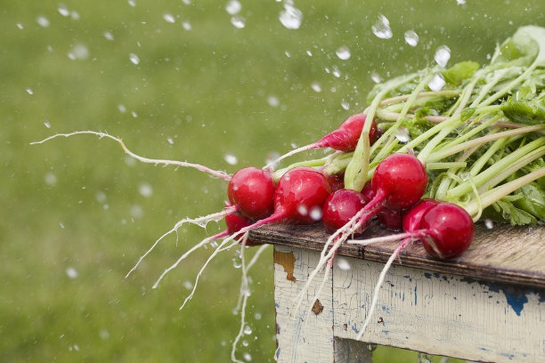 水果萝卜清洗过程