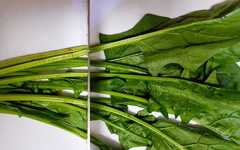 高清特写:左侧为带根大叶菠菜浸泡于淡盐水中,右侧为焯水后浸入冰水的鲜翠菠菜,背景可见精确计时器显示'00:07',桌面摆放食用碱、食盐及厨房纸,突出科学处理流程 大叶菠菜分段清洗与焯水特写