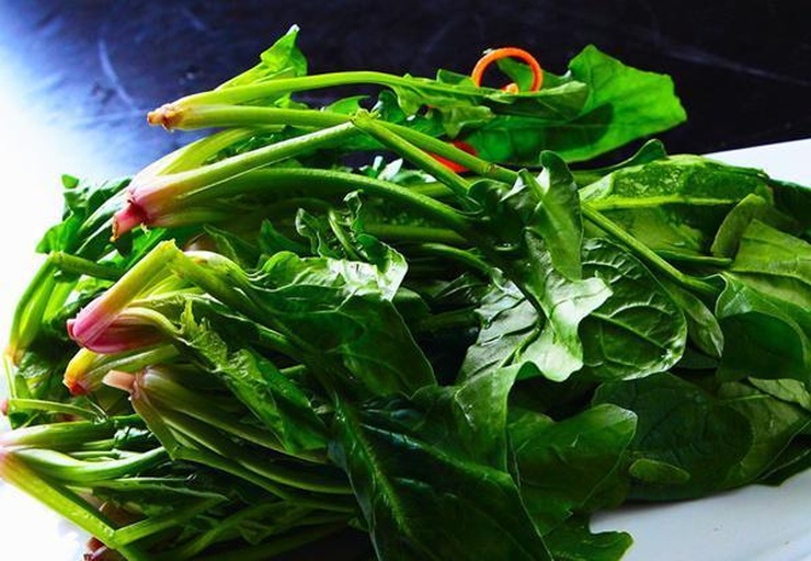 菠菜与折耳根选购对比图