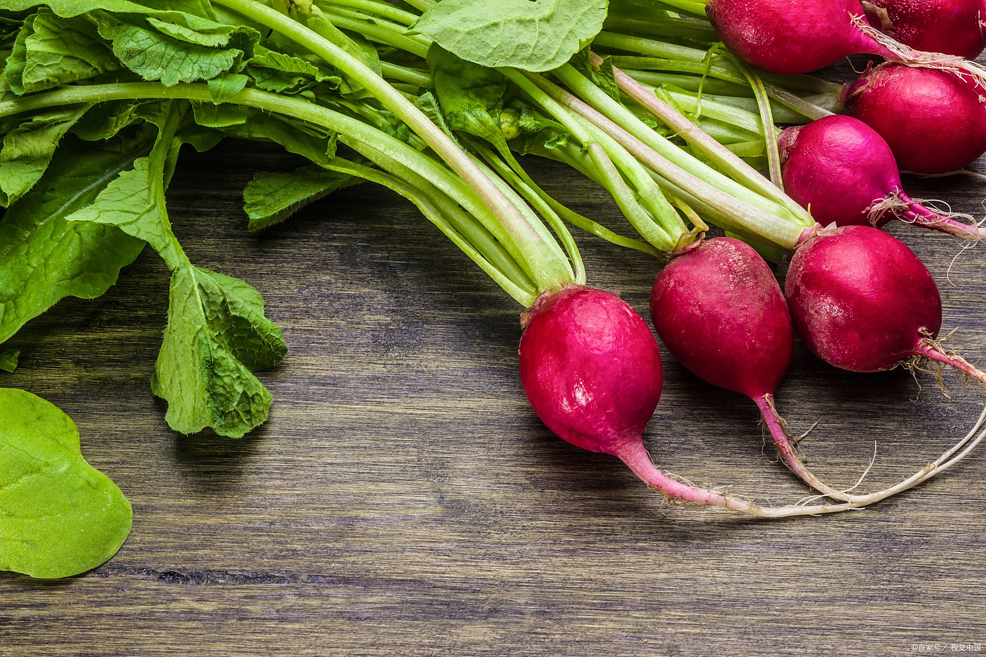 一张红红皮萝卜与绿色蔬菜搭配的摆拍图片,背景为厨房环境,营造出温馨自然的生活氛围 红红皮萝卜与绿色蔬菜搭配的图片