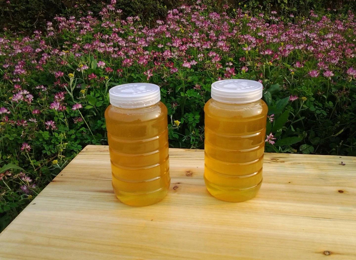 蜂蜜格在玻璃罐中整齐摆放,背景为木质桌面与自然光线,展现自然健康的生活方式 蜂蜜格存放展示图