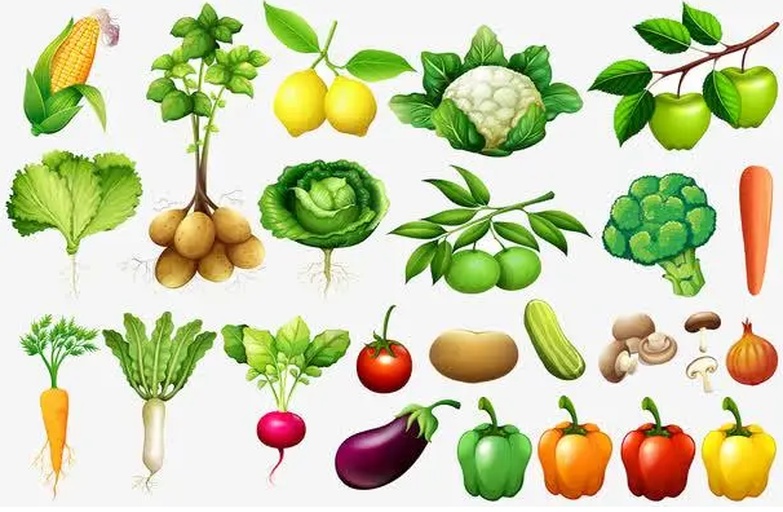 一张对比图表展示常见蔬菜的PRAL值,大白菜位于最左侧(负值区),旁边是西兰花、菠菜,右侧则列出猪肉、鸡蛋、大米等高PRAL正值食物 图片描述