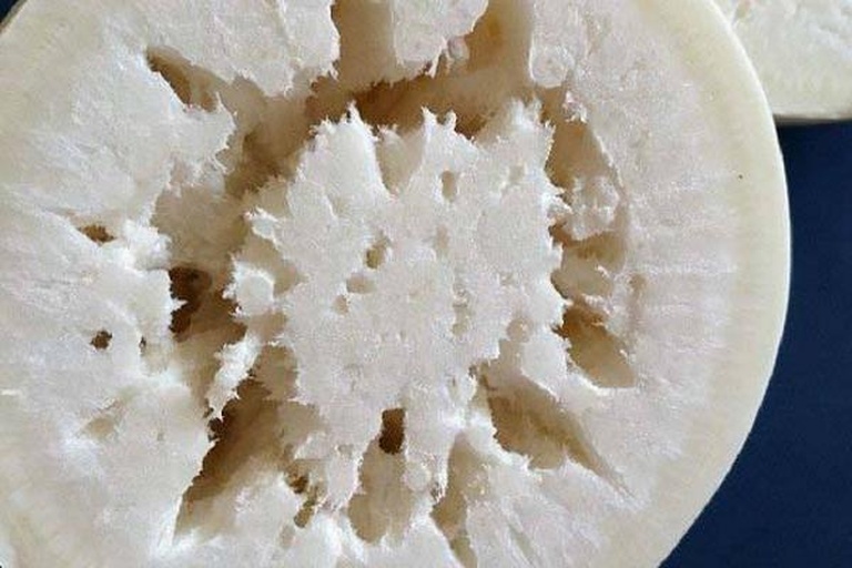 白萝卜切面展示空心结构