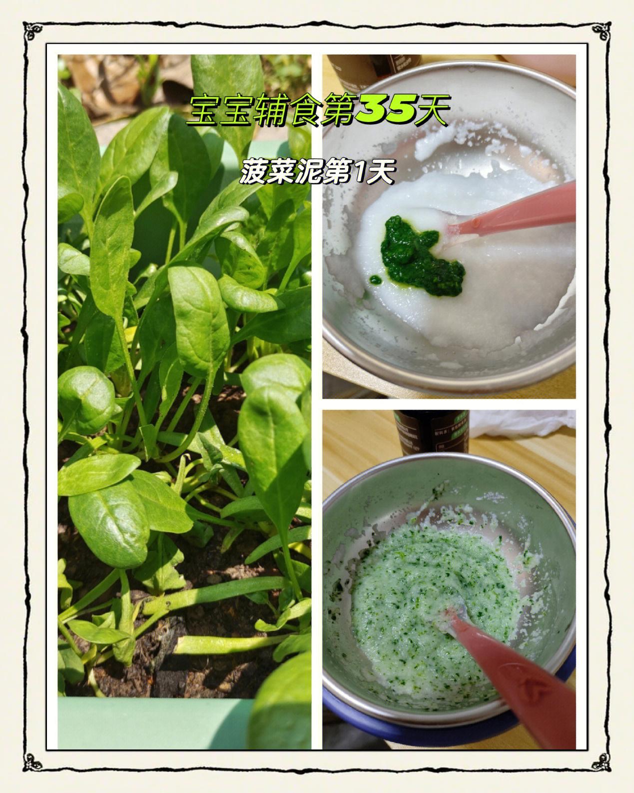 一位专业营养师坐在桌前,向一对年轻父母展示婴儿辅食食谱卡片,桌上摆放着小碗装的菠菜泥和肉泥,背景有婴儿餐具和食品标签,营造科学育儿氛围 营养师向家长讲解婴幼儿辅食搭配
