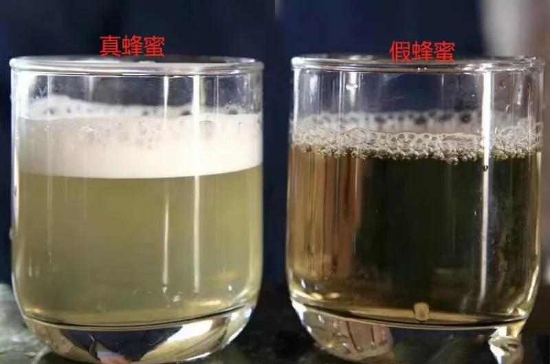 两张并列的透明玻璃杯,左侧为天然结晶蜂蜜,呈细腻乳白色;右侧为掺糖假蜜,结晶粗糙且颜色发暗,旁边放置放大镜和小勺用于对比观察 蜂蜜真假对比实验