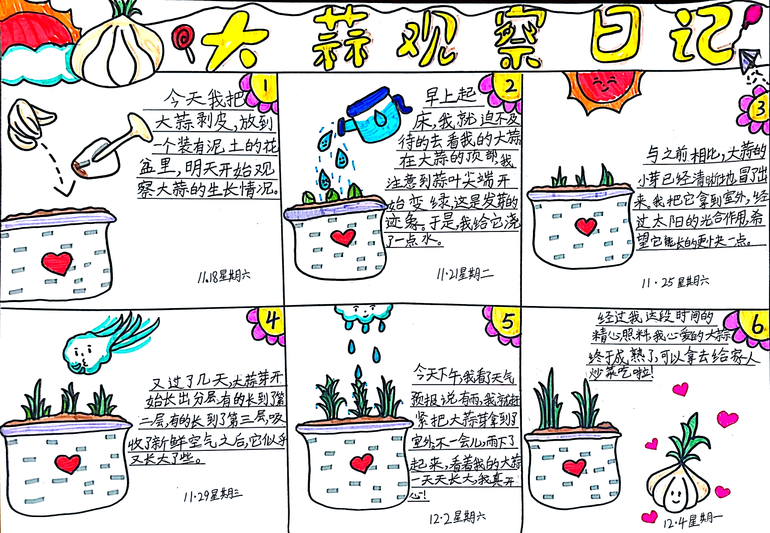 一名小学生正蹲在教室角落的种植角,手持笔记本认真记录一排装在透明杯中的蒜苗幼苗生长情况,杯子内可见清晰的白色根系和绿色嫩叶,桌上摆放着尺子和铅笔,背景黑板上有‘植物成长日记’字样,体现教育实践场景 小学生在教室观察记录蒜苗幼苗生长日记