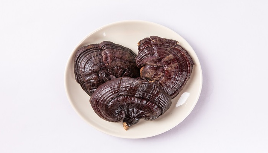 左侧为灵芝切片宏观照片,显示典型红褐色断面与同心环纹;右侧为同一区域的显微镜图像(400倍),清晰呈现菌丝交织网络与菌管垂直排列结构;中间用箭头连接,标注关键部位名称,如‘菌丝体’、‘菌管层’、‘孢子沉积区’等,背景为实验室工作台与放大镜 灵芝切片显微结构与宏观对照图