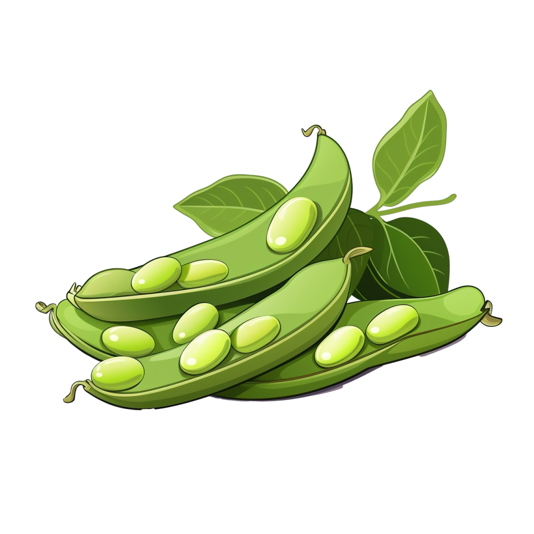 新鲜毛豆与干黄豆对比图