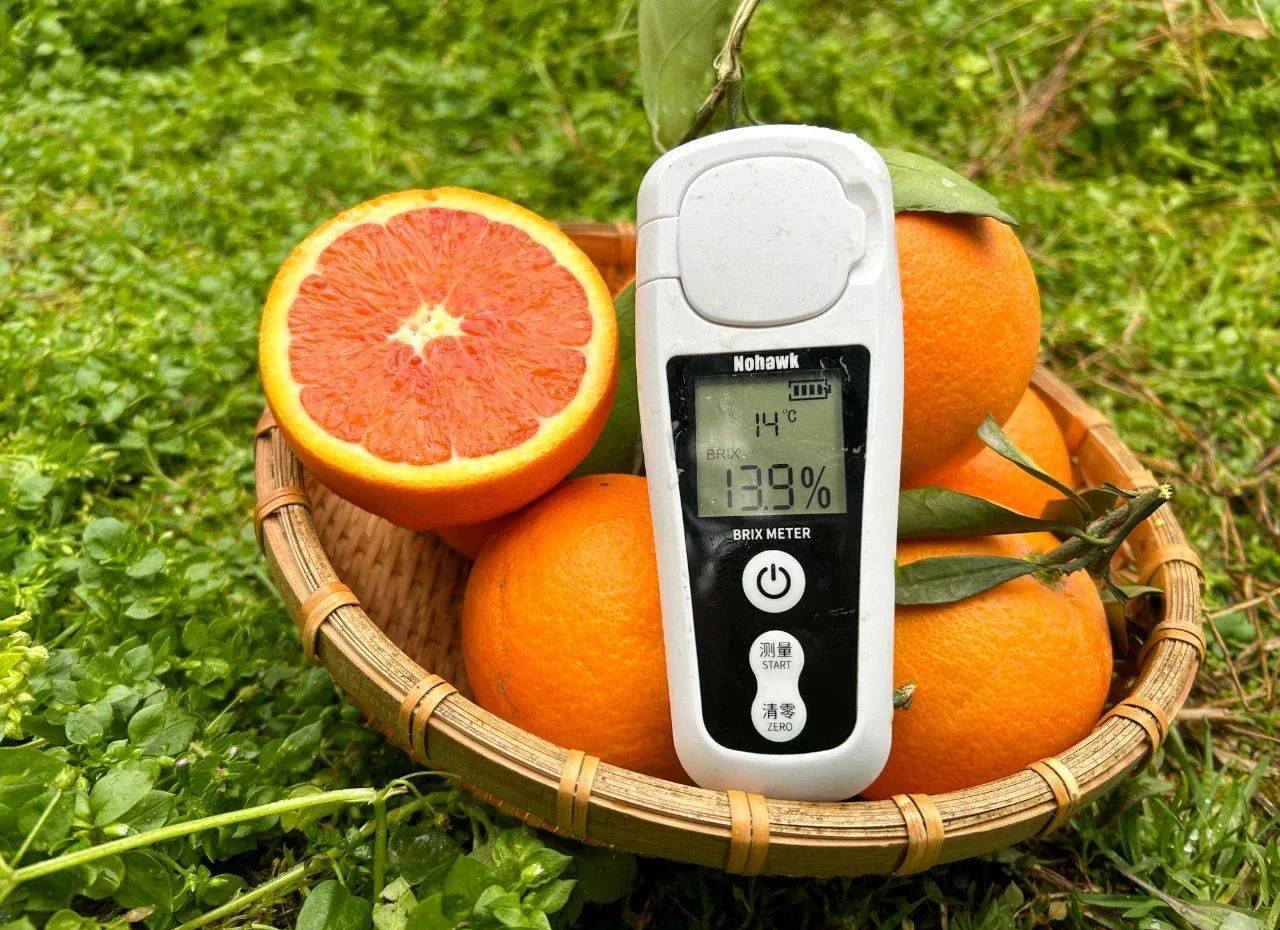 橙子甜度与糖分检测