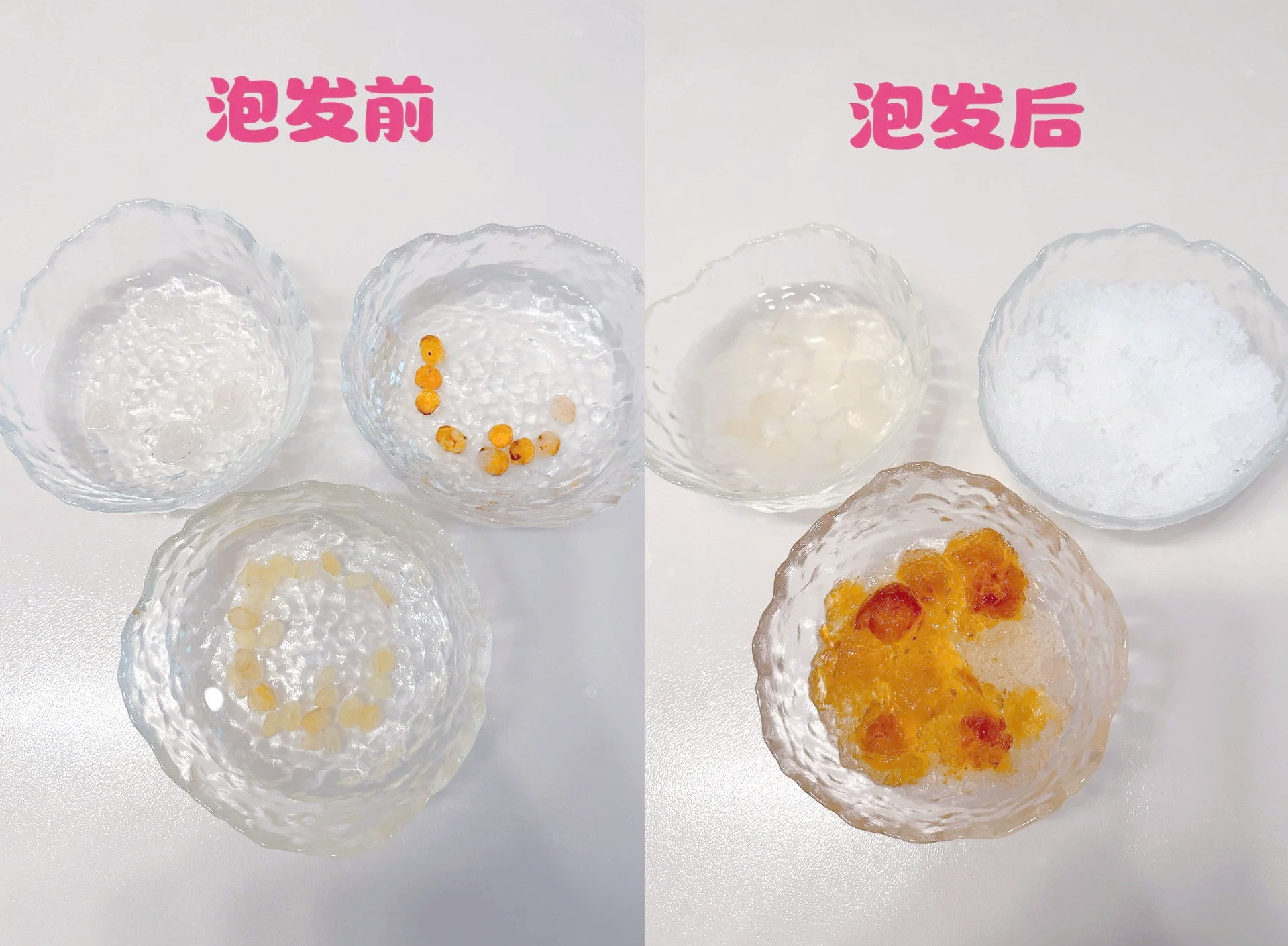 竹荪干货与泡发过程