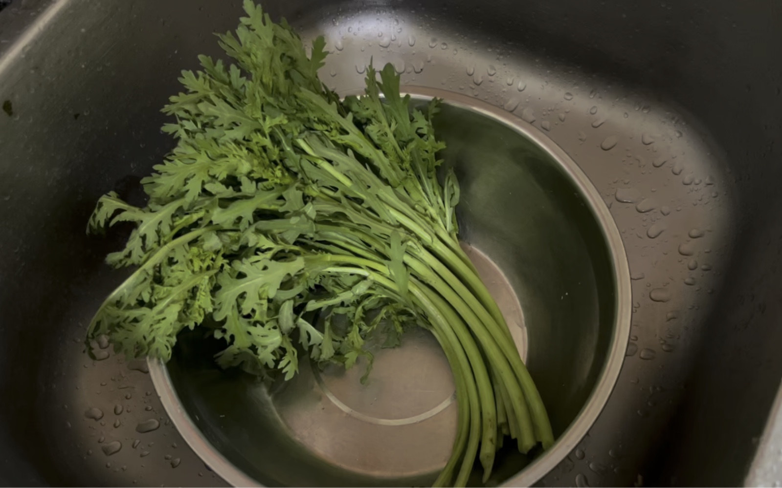 伴茼蒿清洗与焯水过程,展示新鲜蔬菜处理细节 伴茼蒿清洗与焯水过程