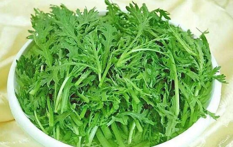 茼蒿营养成分信息图：环形图表展示维生素C、β-胡萝卜素、钾、膳食纤维占比，底部标注'性味：微寒；归经：肝、肾；适用时节：春末夏初；禁忌人群：脾胃虚寒、阳虚怕冷'