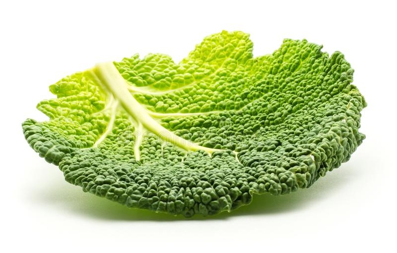 皱叶甘蓝的外观特写