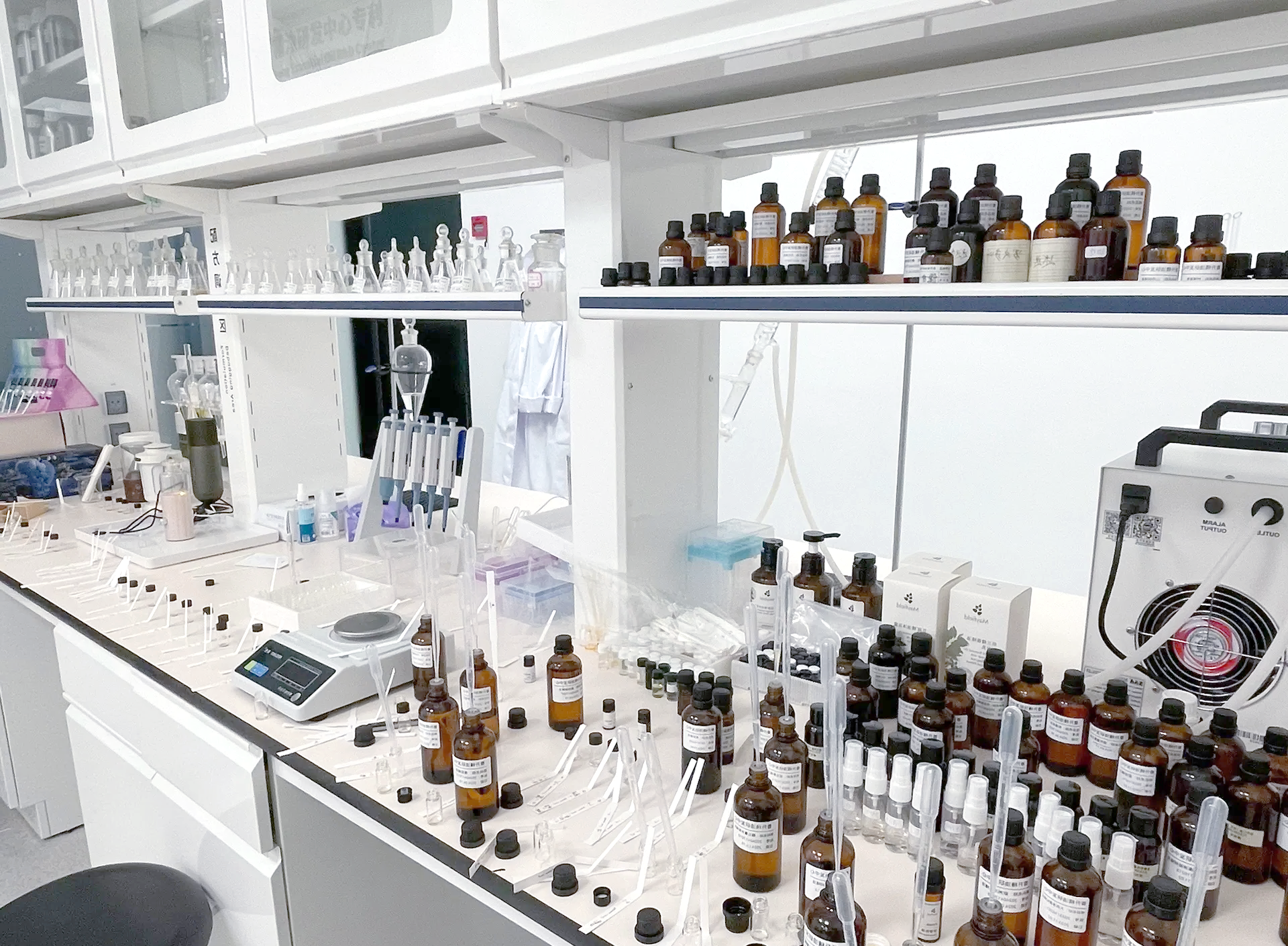 四季玫瑰提取物在实验室中的应用