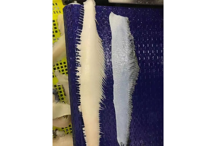 现代化食品加工厂内,工人正在操作不锈钢传送带上的鱼皮清洗设备,多条浅灰色草鱼皮整齐排列,经过喷淋冲洗、去鳞去脂工序,背景可见蒸汽管道与温控显示屏 工厂流水线上的鱼皮处理过程