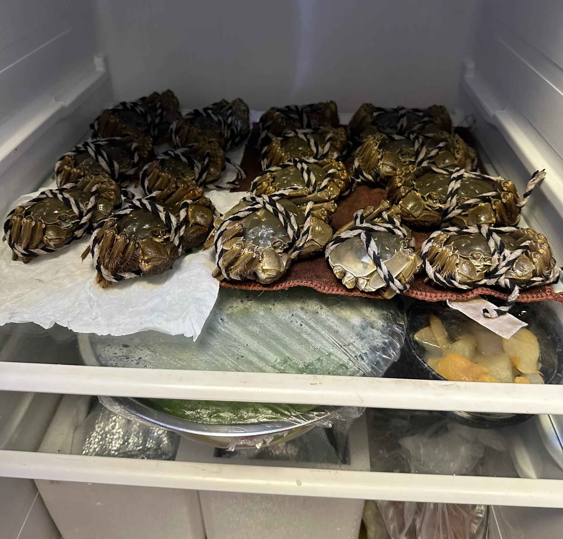大闸蟹在湿润毛巾包裹下放置于冷藏抽屉中的实景图