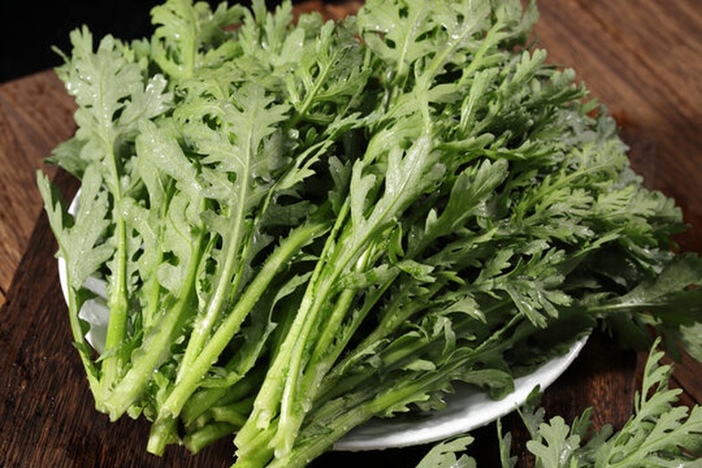 茼蒿与香菜对比图