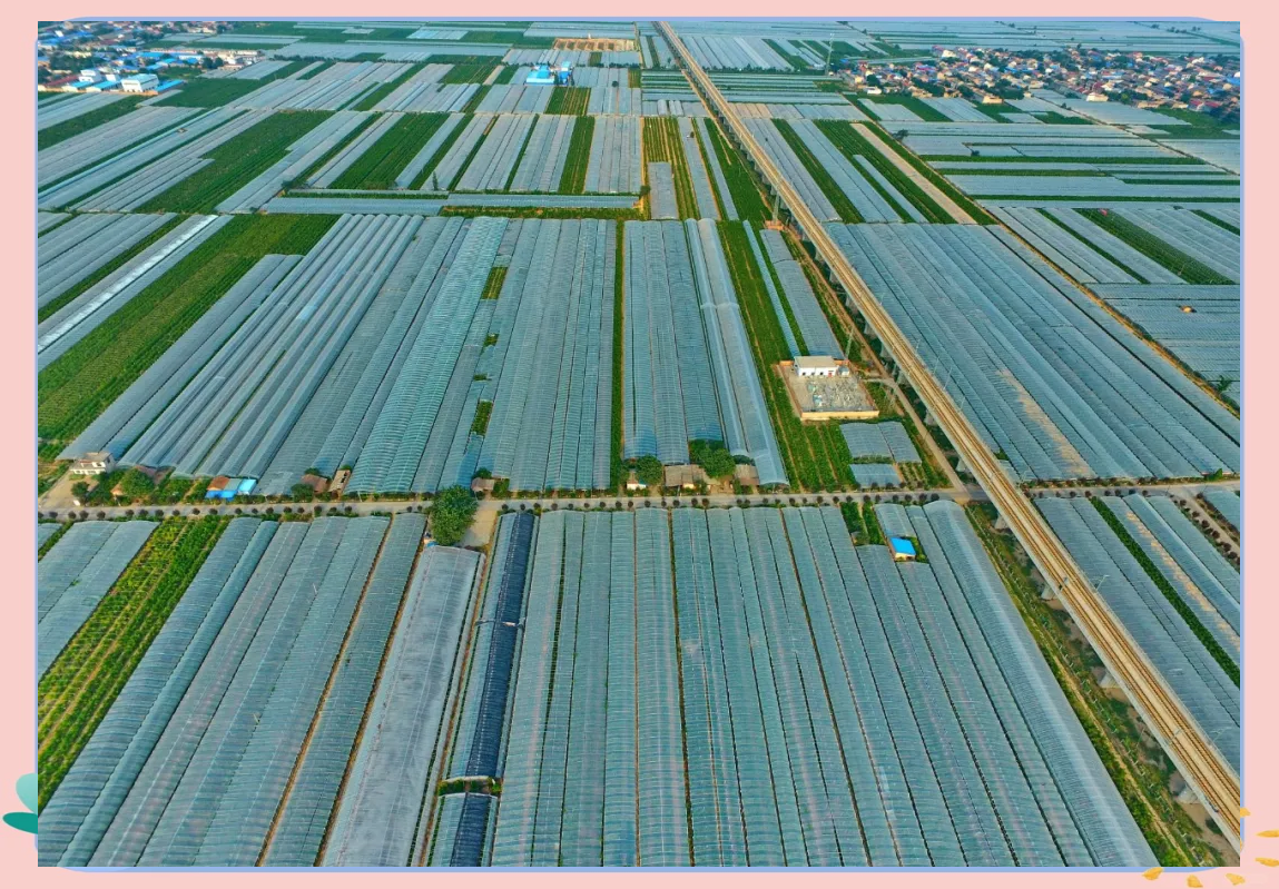 航拍视角下的云南建水县连片大棚种植区,银白色温室整齐排列,田间道路清晰可见,远处为丘陵地貌与蓝天白云,体现规模化现代农业场景 云南建水县伊丽莎白甜瓜种植基地航拍图