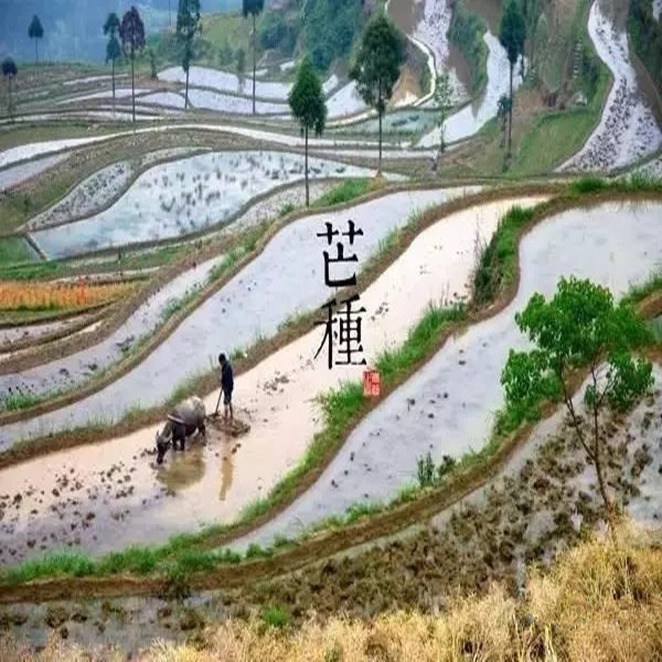 古代农耕场景复原图