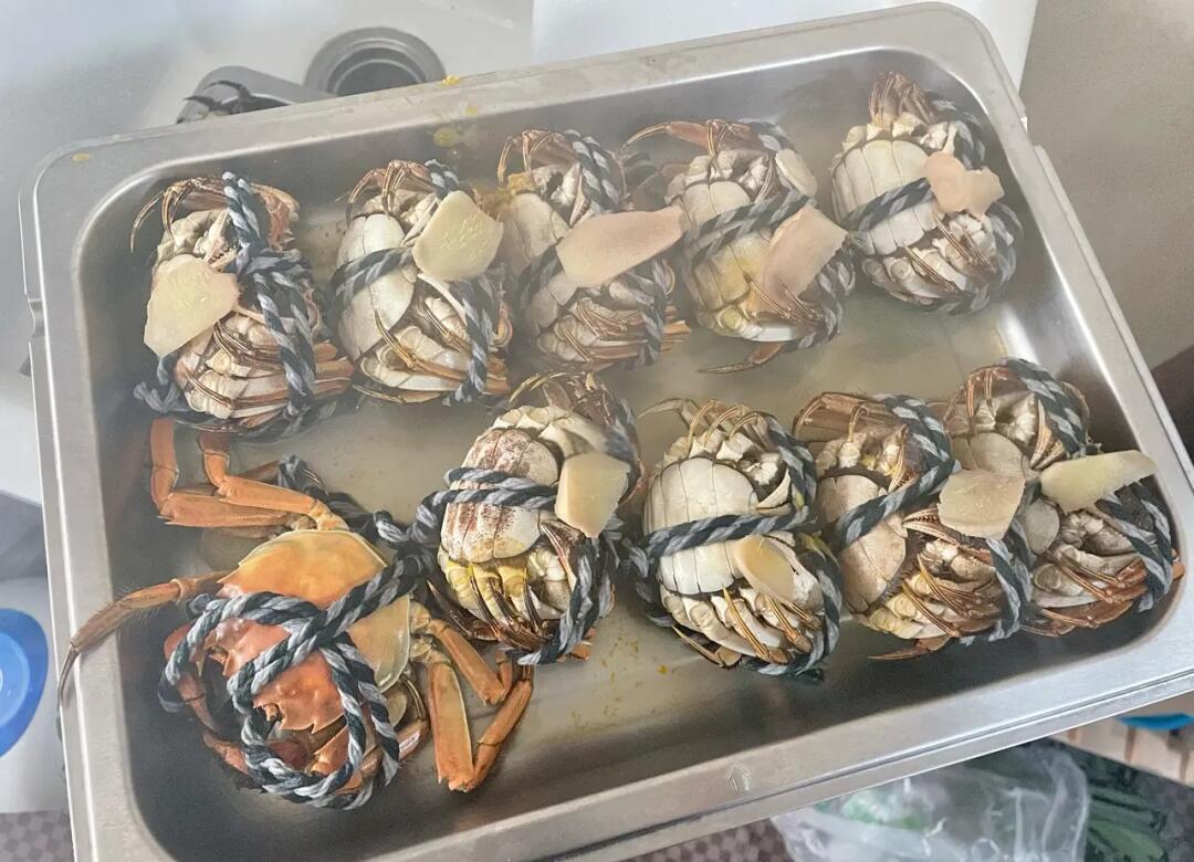 蒸锅俯视图:不锈钢深锅内清水微沸,蒸箅上8只捆扎大闸蟹腹部朝上整齐排列,每只腹腔插紫苏与姜片,表面覆满姜片,蒸汽氤氲升腾,水位线清晰可见位于蟹身2/3处 大闸蟹水煮过程实拍