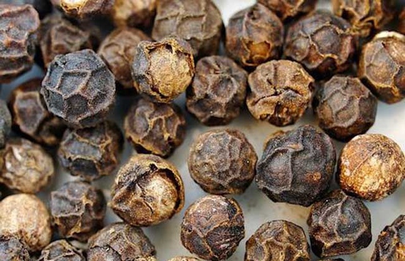 世界各地优质黑胡椒样品对比图