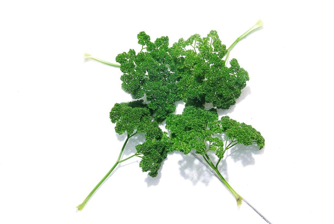 本芹榨汁与欧芹拌沙拉的应用场景对比