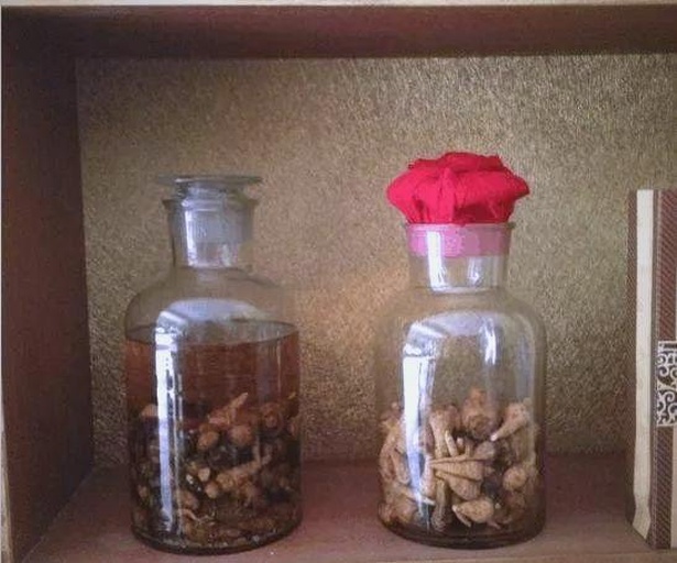 参苓白术丸成品药瓶展示